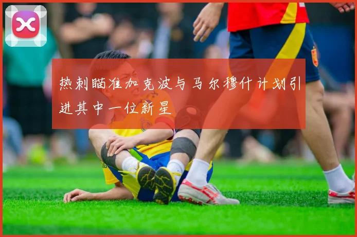 热刺瞄准加克波与马尔穆什计划引进其中一位新星