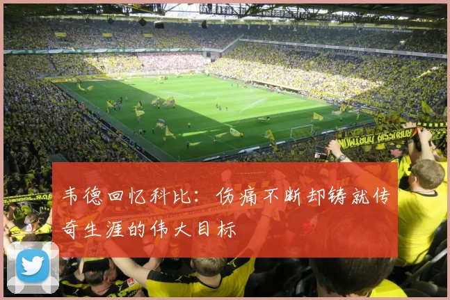 韦德回忆科比：伤痛不断却铸就传奇生涯的伟大目标