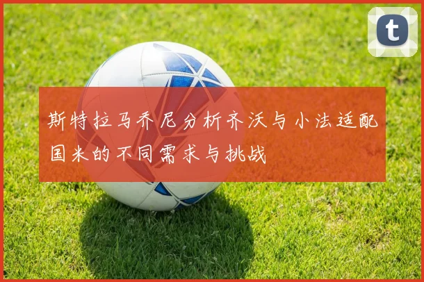 斯特拉马乔尼分析齐沃与小法适配国米的不同需求与挑战