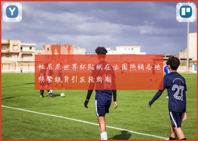 帕尼尼世界杯贴纸在法国热销各地频繁缺货引发抢购潮